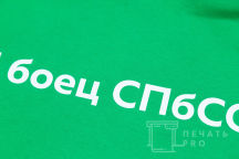 Зеленые толстовки с логотипом «СПБСО»